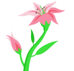 Rachel Schneider Counseling